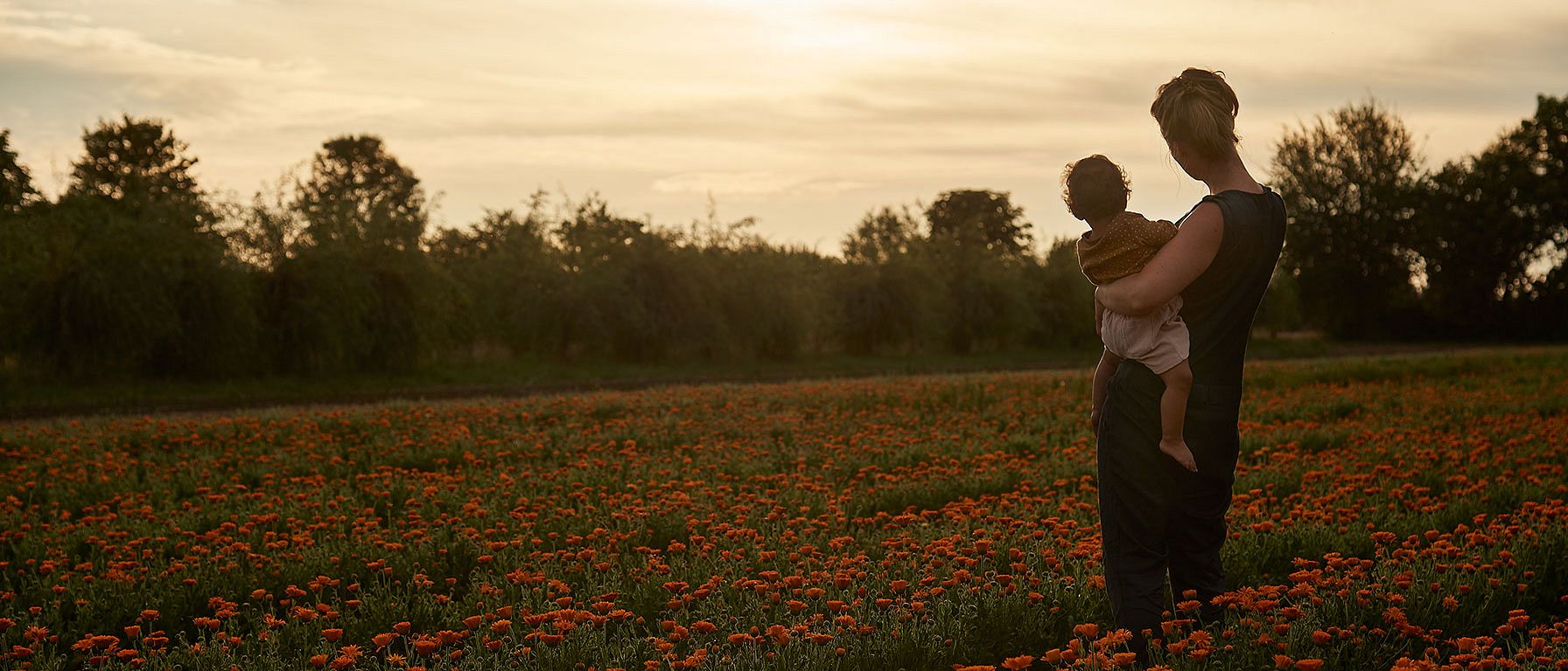 Madre con bambino in un campo di calendula