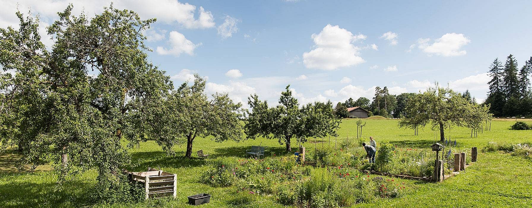 aperta campagna con prati e alberi verdi e colline in lontananza. Alcuni contadini al lavoro
