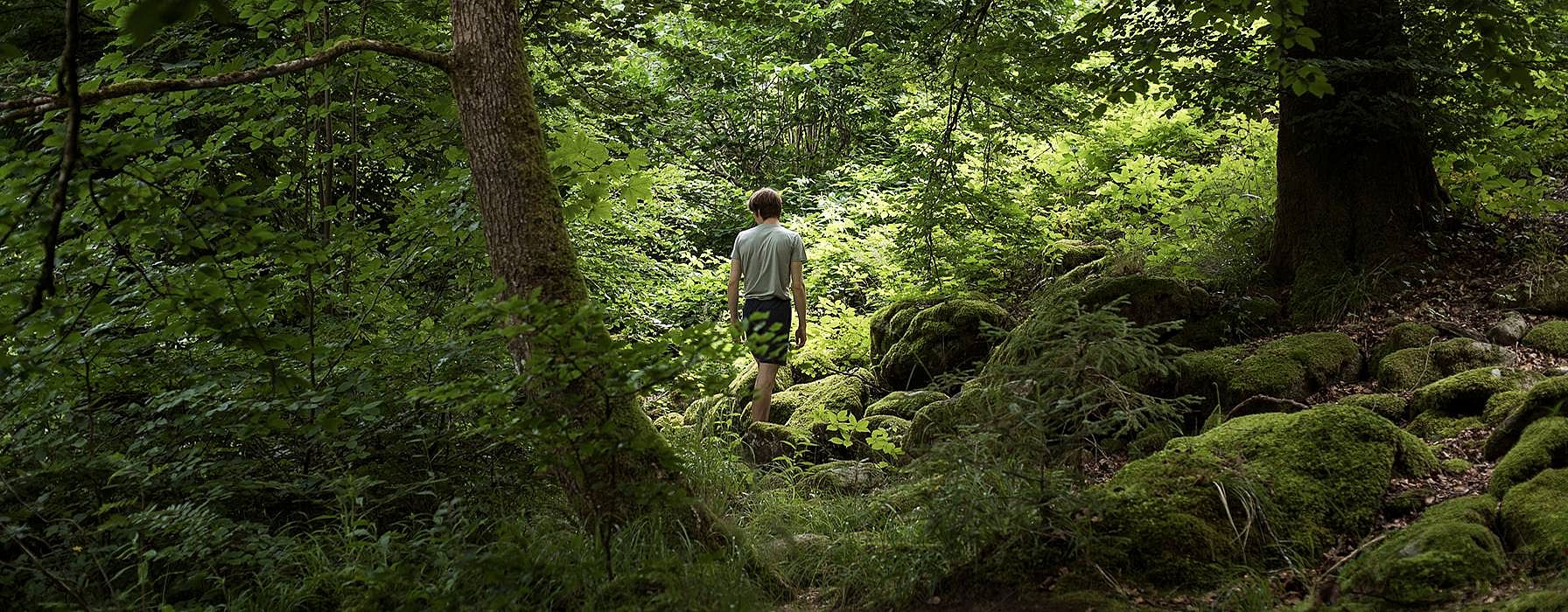 Ragazzo in mezzo al bosco si guarda intorno