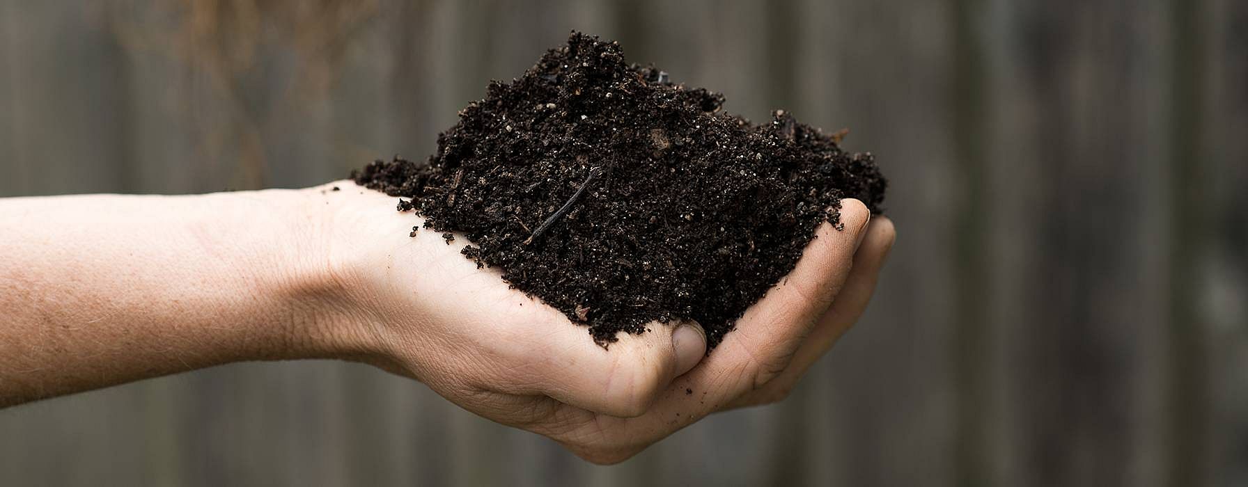 Una mano tiene in mano un mucchio di terra