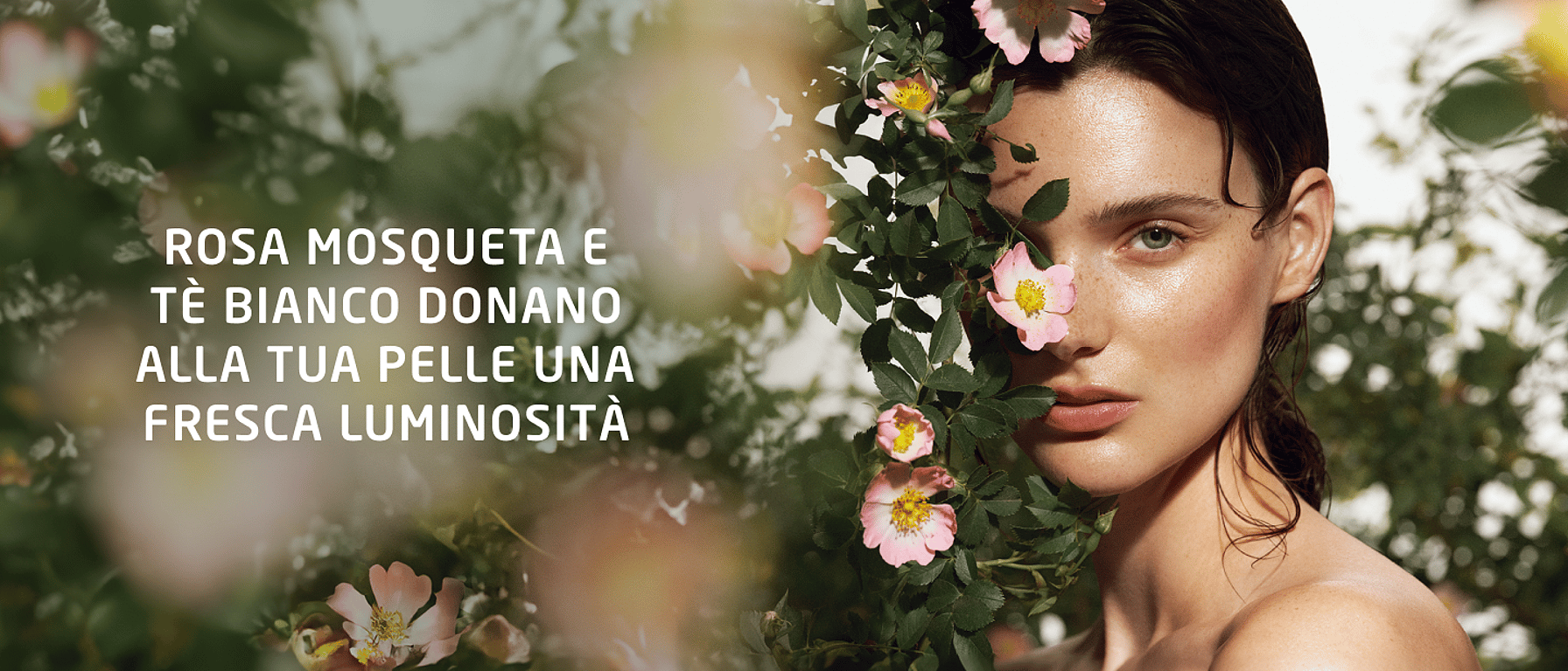 Nuova linea rosa mosqueta e tè bianco