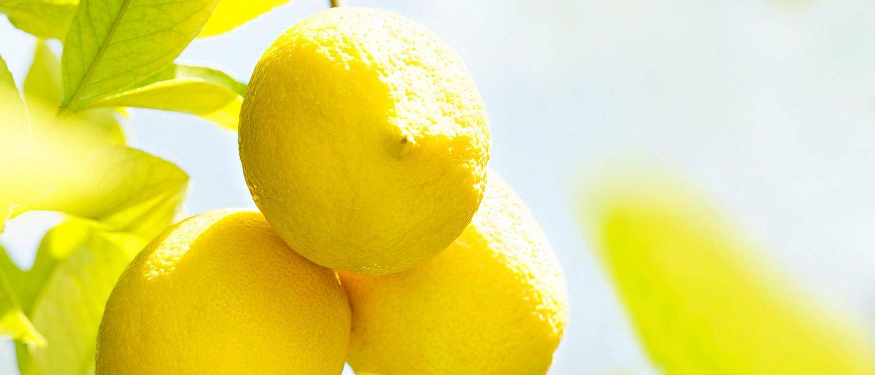Limoni