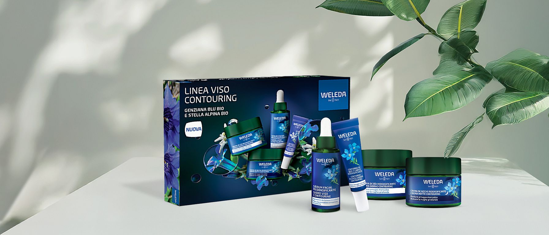 Limited Edition - Couvette Linea Genziana Blu e Stella Alpina