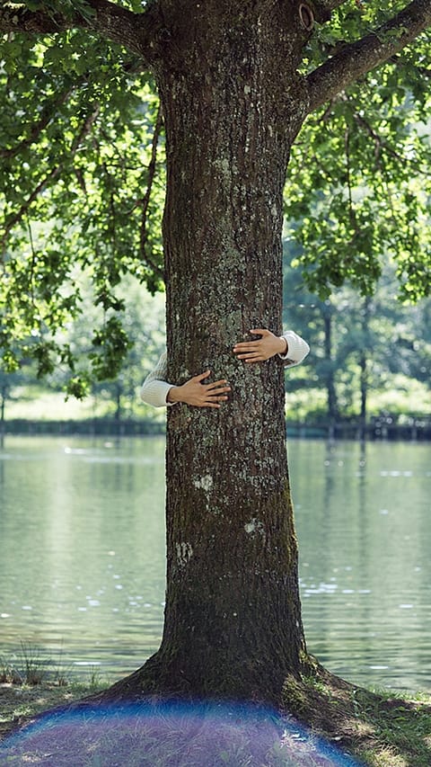 Due mani abbracciano un albero da dietro vicino ad un lago