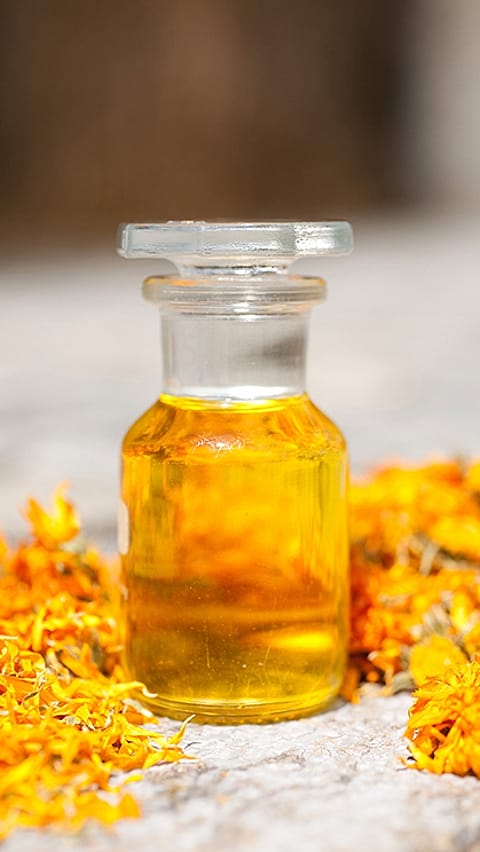 lavorazione della calendula Weleda