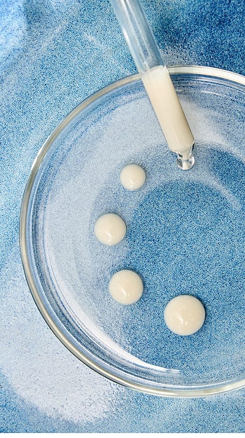 gocce di siero contouring alla genziana blu e stella alpina