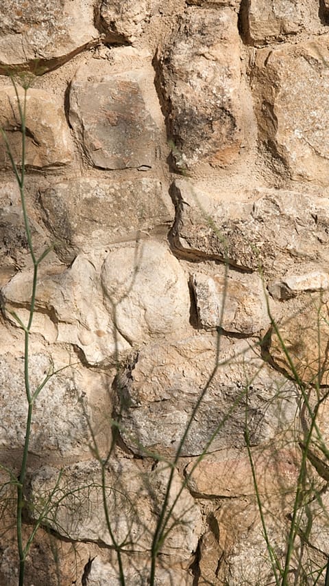 muro in pietra con dettaglio di fili d'erba