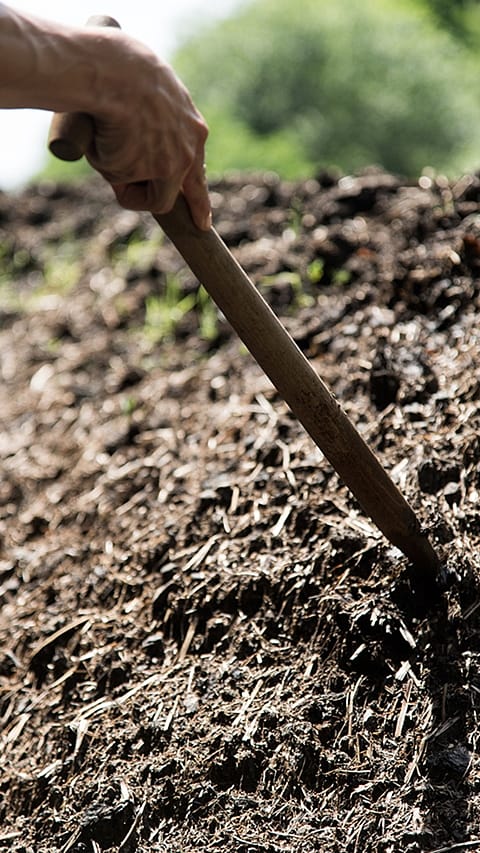 mano con attrezzo per lavorare la terra