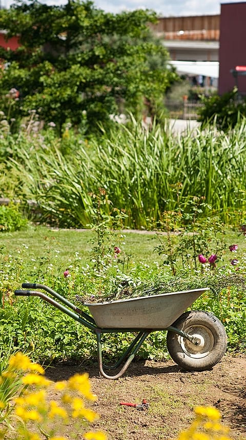 Carriola nel giardino Weleda