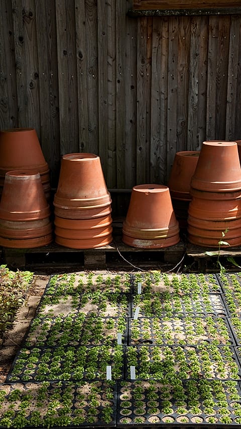 Accanto ad una parete di legno ci sono delle pile di vasi in terra cotta