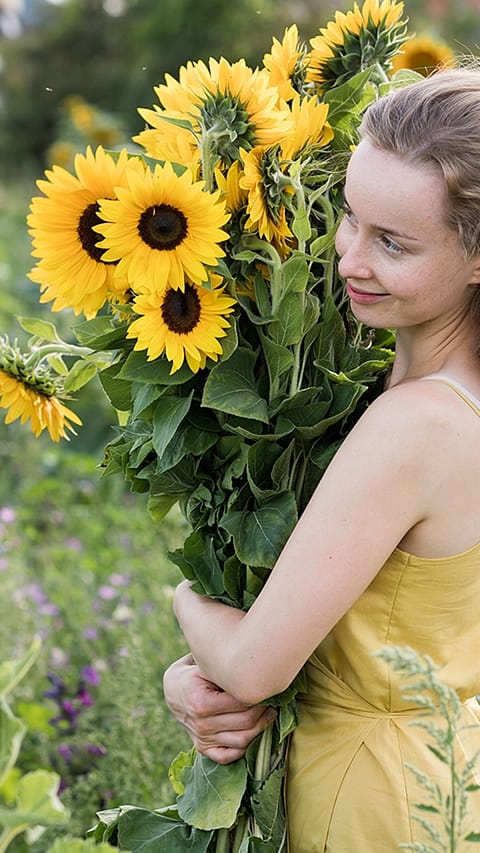 Ragazza tiene in mano un mazzo grande di girasoli