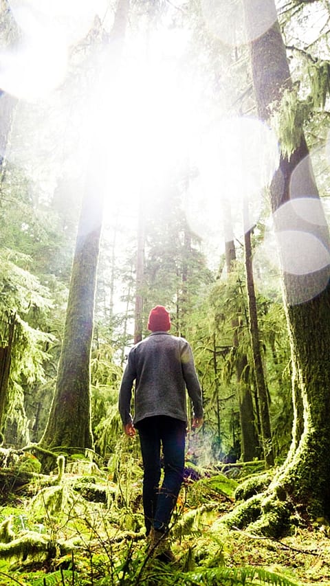 L'uomo cammina nella radura della foresta