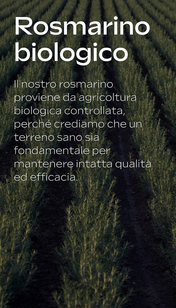 Olio Nutriente per Capelli