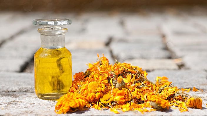 dettaglio di fiori e olio di calendula