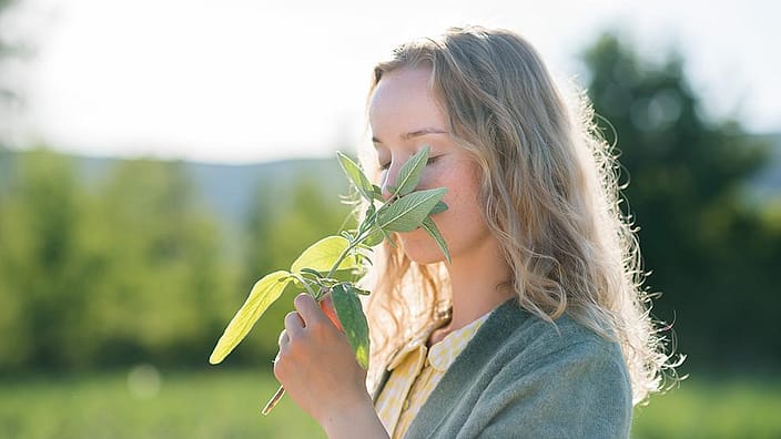donna che annusa un mazzo di salvia