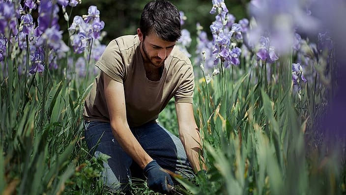 Uomo in mezzo ad un campo di viole del pensiero