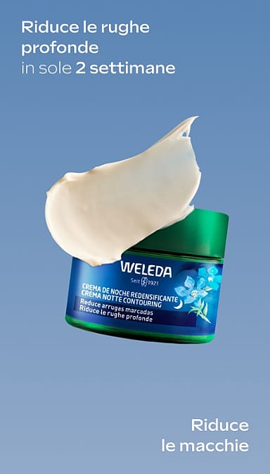 Genziana Crema Notte