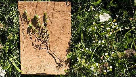 assa di legno in un giardino