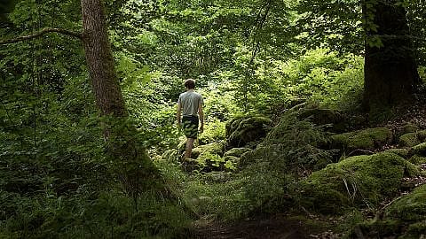 Ragazzo in mezzo al bosco si guarda intorno