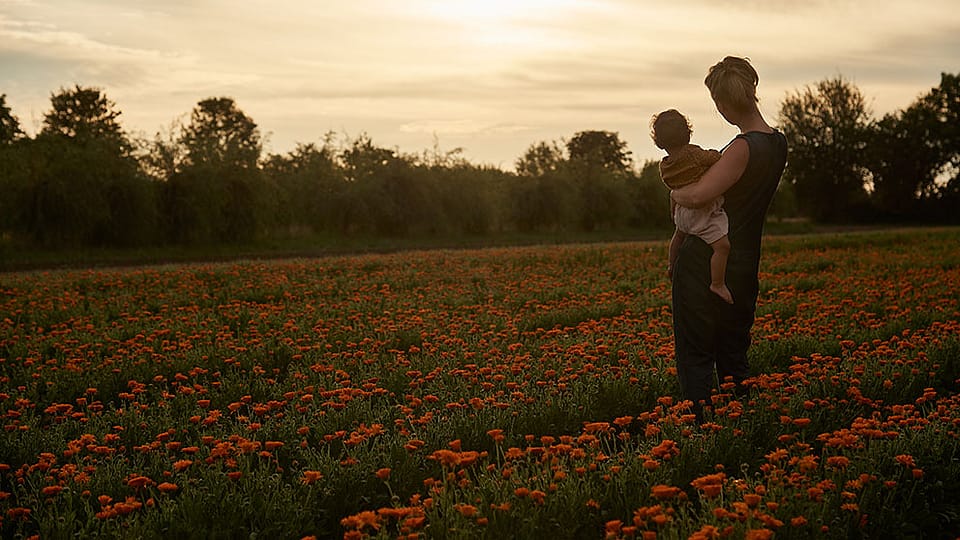 Madre con bambino in un campo di calendula