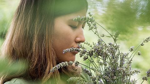 La donna odora i fiori di lavanda
