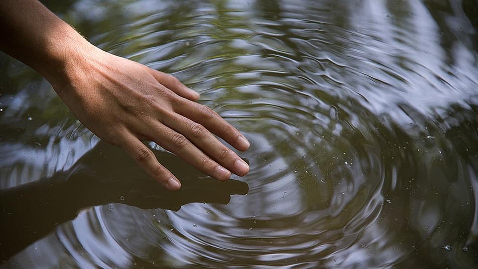 hand touching water