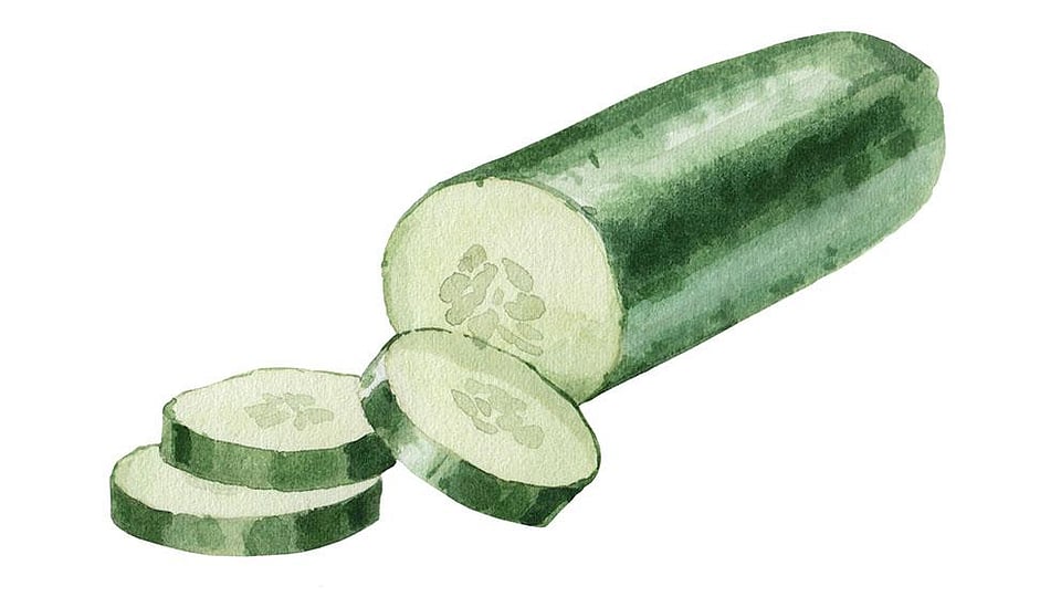 Cucumis Sativus (Cucumber) Fruit Extract