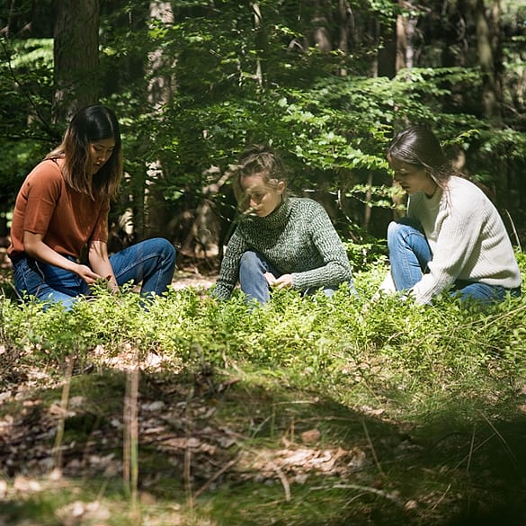 tre ragazze in mezzo alla natura