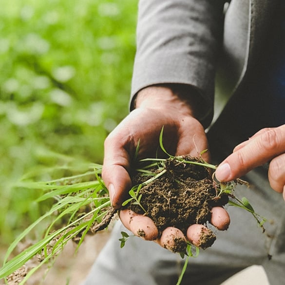 holding soil in hand