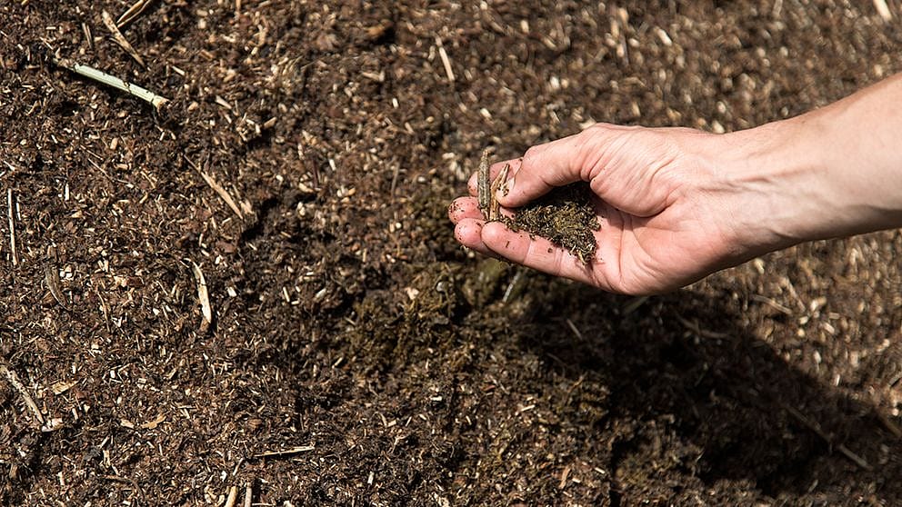 Una mano raccoglie un po' di terriccio dal suolo