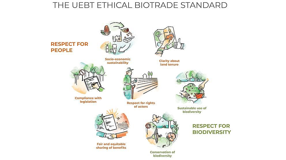 UEBT diagramma