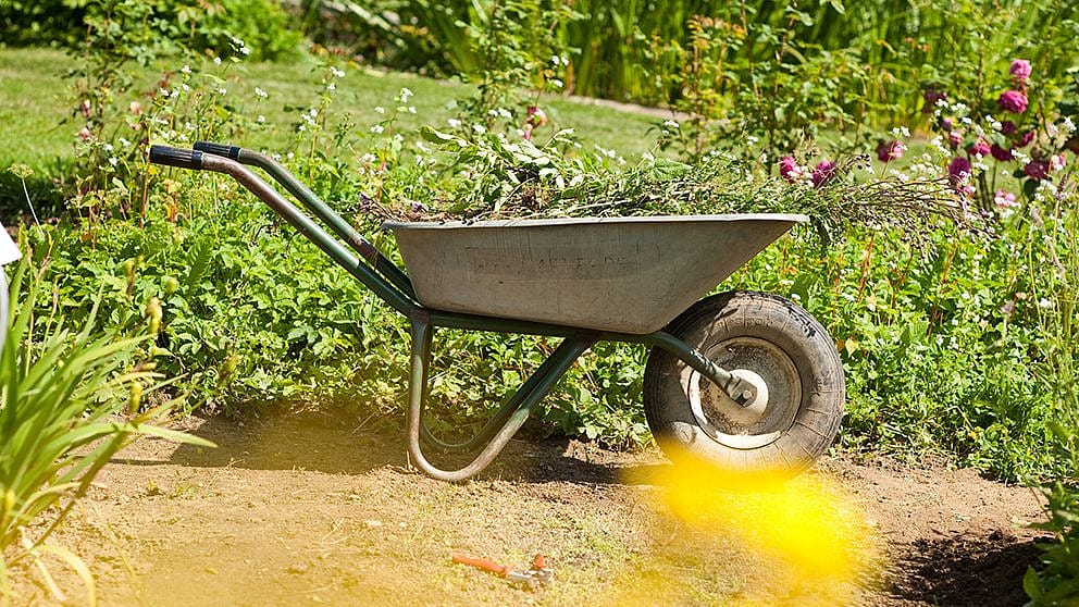 Carriola all'aperto con all'interno erba e foglie