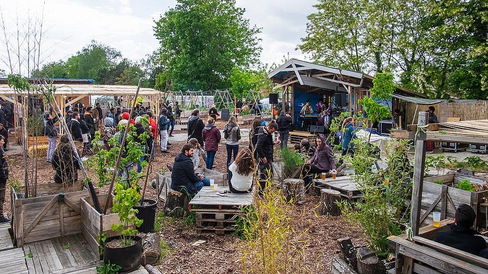 garden with people